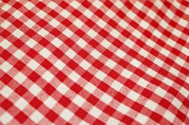 gingham fabric red and white