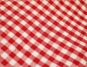 gingham fabric red and white
