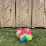 Tips and tricks for life on the road or: how I learned to stop worrying and love the Port-a-Potties…