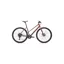 Specialized Sirrus X 2.0 Step-Through Road Bike In Satin Spice/Deep Orange Reflective