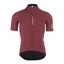 Q36.5 Pinstripe PRO Short Sleeve Jersey Siena Red